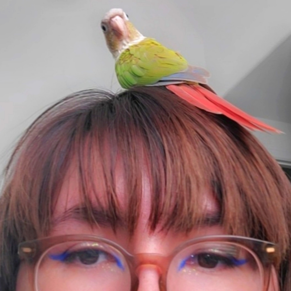 Meet your Posher, Alisa